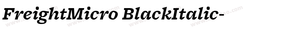 FreightMicro BlackItalic字体转换